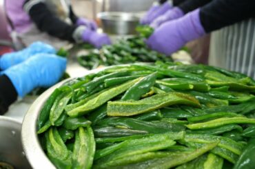 Peeled Chili(Harvesting, Processing), Peeled Chili Recipes(Century Egg, Dumpling, Soup)