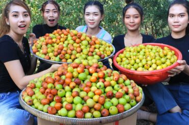 Fresh jujube fruit in my homeland eating with chili salt - jujube fruit
