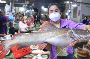 Market show, Have you ever seen this river fish at your place? / Fish soup with banana flower recipe