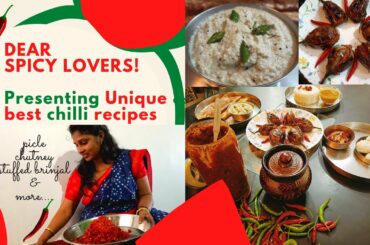 chilli receipes |red chilli pickle |green chilli chutney |spicy dosa |Stuffed chilli brinjal