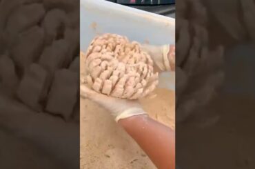 #cooking #food #foodie #foodporn #instafood #foodphotography #homemade #foodstagram #yummy