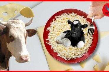 How to Cook Stir-Fried Beef with Cheese | Nate's Chilli Cheese Beef Stir Fry Recipe| Miniature Food