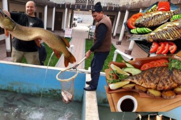 Amazing cooking fish crispy with chili sauce recipe - Amazing video