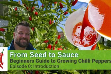 Introduction - Ep. 0 (Beginners Guide to Growing Chilli Peppers)