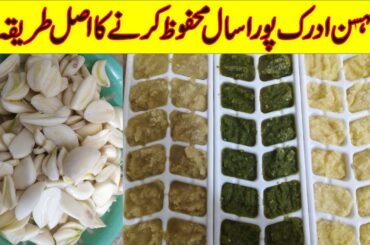 Ginger Garlic Paste and Green Chili Paste Storage Recipe in Urdu Hindi - KWK