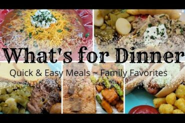 WHAT'S FOR DINNER * NEW RECIPE * BEEF STROGANOFF * CHILI* QUICK & EASY MEALS * FAMILY FAVORITES
