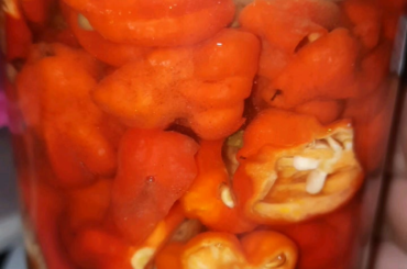 Trinidad moruga scorpion ferment, are those capsaicin crystals glistening?