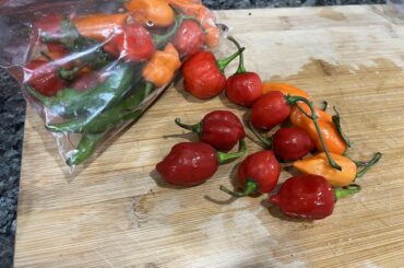 I was gifted some fresh peppers...