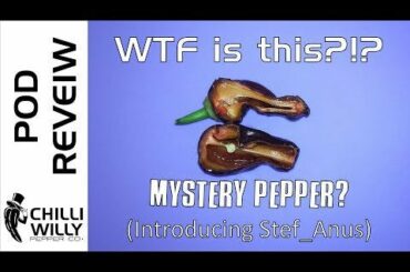 Watch 2 guys get hammered by a mystery chocolate pepper pod.