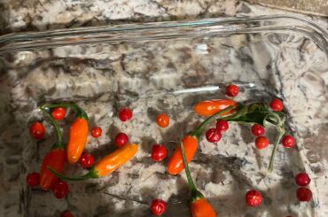 Need help identifying