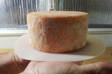 Red Hot K Pop - homemade jack cheese using a lot of Korean pepper flakes