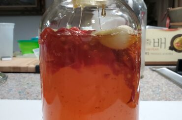 I made some Carolina Reaper hot honey!