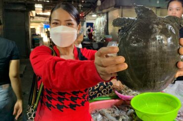 Market show, turtle cook with chili sauce and green banana recipe - Turtle roasted with salt recipe