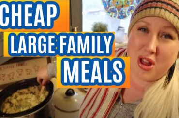 Cheap Meals for Large Families Recipes  | 4 Frugal Chicken Slow Cooker Dinners
