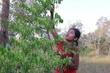 Survival cooking in forest - Bitter flower plant with Hot garlic spicy chili for lunch ideas