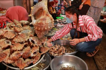 Buy sea snail from the market for making food - Sea snail cook - Sea snail eating spicy chili sauce