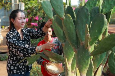 Yummy and Fresh Pedro Cactus, Curry Pedro Cactus cooking - Eat Pedro Cactus with Chili-Salt