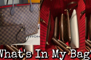 A NEAT FREAK WHAT'S IN MY BAG | ORGANIZED LOUIS VUITTON BAG