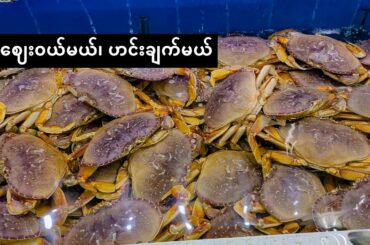 Grocery shopping and Cooking Spicy Chili Crab