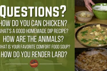 Tim and Nicki Answer Your Questions (#949)