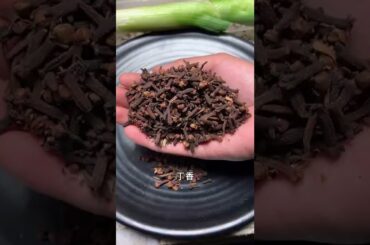 Green Mangoes Picking for Eating with Chili Salt, It’s so Delicious - Tasty Cooking SP#cooking pot