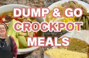 EASY CROCKPOT RECIPES | DUMP & GO SLOW COOKER MEALS | WHAT'S FOR DINNER? | LEMON LOAF CAKE