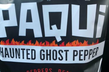 Were these chips a good idea