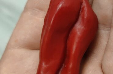 Does anyone know what kind of peppers are these?