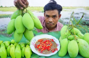 Wow Wow Yummy Eating Fresh Mongo With Phok Spicy Chili Sauce |Eat Fresh Mongo