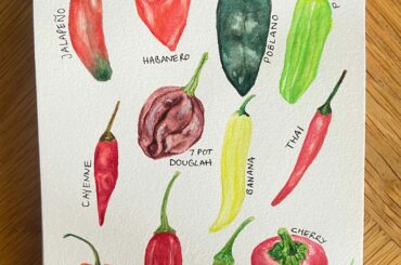 My GF painted me chillies!
