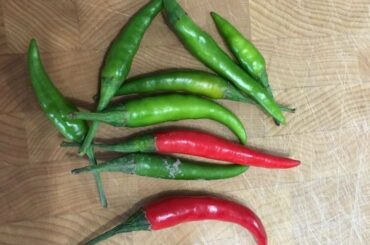 Can anyone help me identify these peppers?