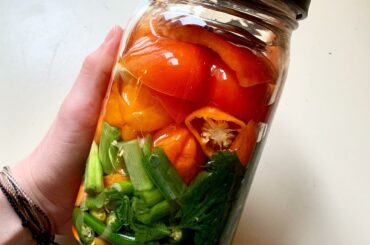 New hot sauce ferment started! Heavy on Thai chilis, habaneros, and green onion.
