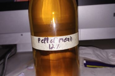 made some habanero mead