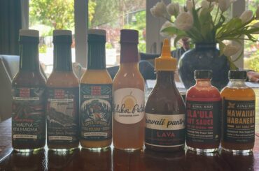 Hawaii souvenirs! Thoughts on any of these?