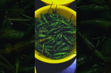 Kanthari Milagai - Bird Eye Chillies Pickle Recipe #Shorts in Tamil | Kishore Rocks