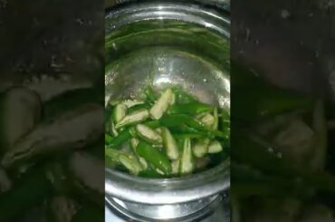 #puli millagai#green chilli recipes#pachai milagai#gramathu samayal#food#