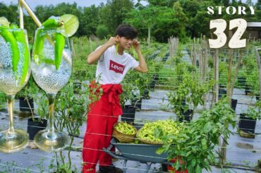 I picked some green chili to make a special recipe | Malaysia countryside life