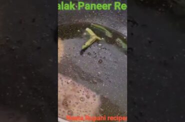 palak Paneer Recipe