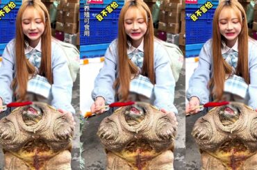 Super Chili Recipes Cooking 50 pound turtle and Eating in VillageJingJing TV Ep10