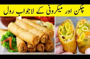 Chicken Macroni Rolls | Crispy macroni rolls recipe by Hot & Chilli | Ramzan special Urdu & Hindi