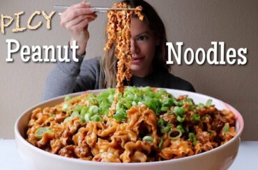 Spicy Peanut Noodles | The Winning Recipe From Indulgent Eats New Cookbook!
