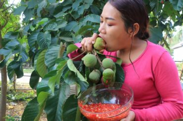 Eat green Santol fruit with chili salt - Eating show