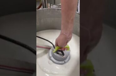 #Candy #Food #Factory #Industrial #Manufacturer