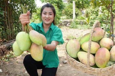 Pick purple mango in my village for my recipe / Yummy purple mango recipe / Cooking with Sreypov