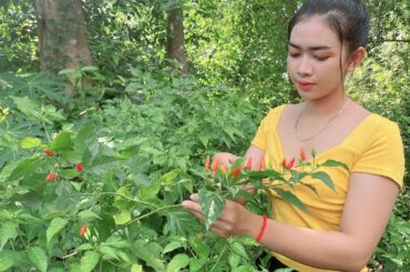 Cooking spicy pork soup with chili recipe