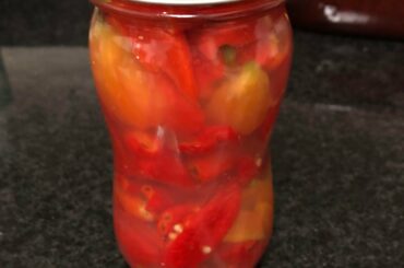 Just started fermenting 16oz of ghost peppers to make some super-hot sauce!