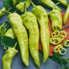 Saw this earlier. What yall got as the worst of these 4?