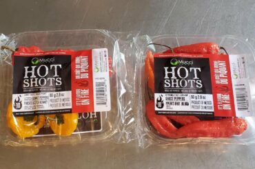 Found scotch bonnets and ghost peppers at my local big box grocery store, HEB. What should I make?