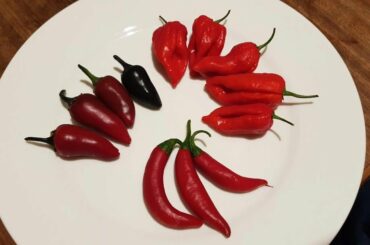 Could anyone identify these for me please?