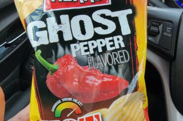 These are tremendous! I get them at some 7/11's in Metro Detroit. I'm positive they are sold elsewhere though.